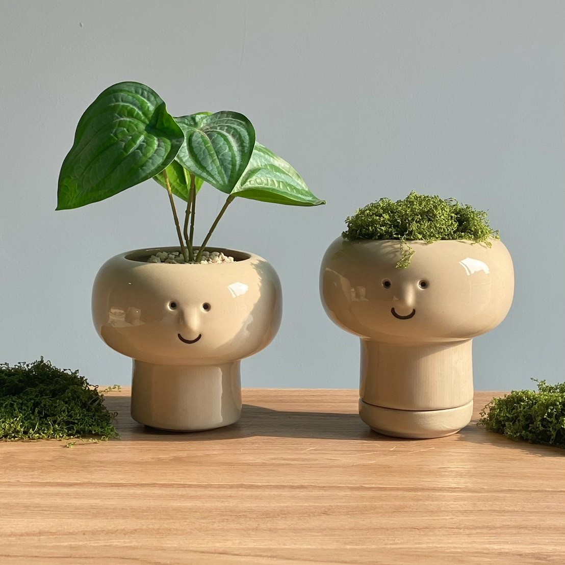 Latisha Smiley Face Ceramic Mini Planter & Cactus Pot  Model PP-01 (S / M)